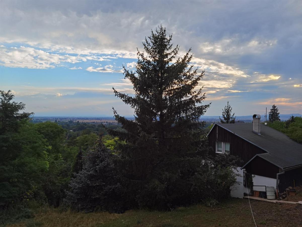 Sunset House Piestany Cervena Veza Διαμέρισμα Banka Εξωτερικό φωτογραφία