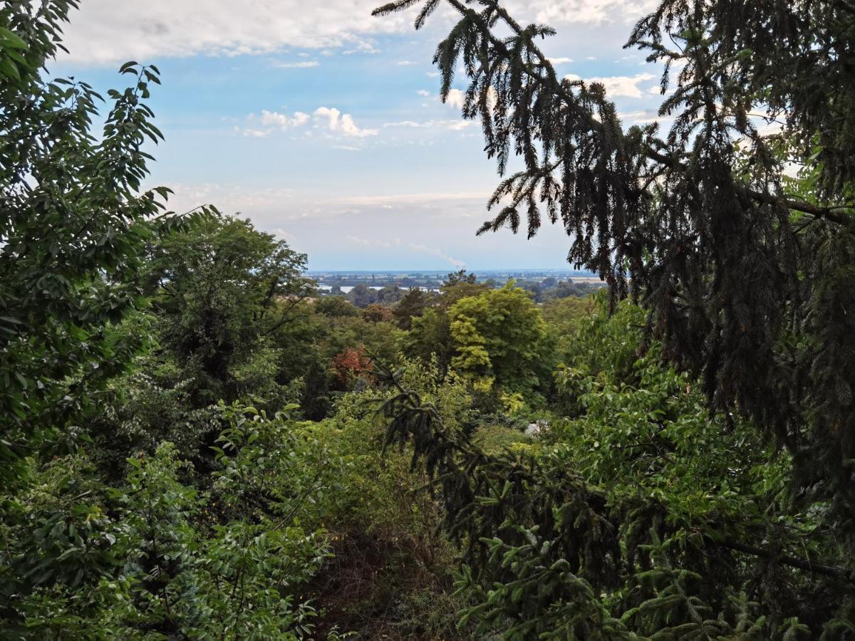 Sunset House Piestany Cervena Veza Διαμέρισμα Banka Εξωτερικό φωτογραφία